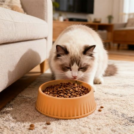 Cat Supplies