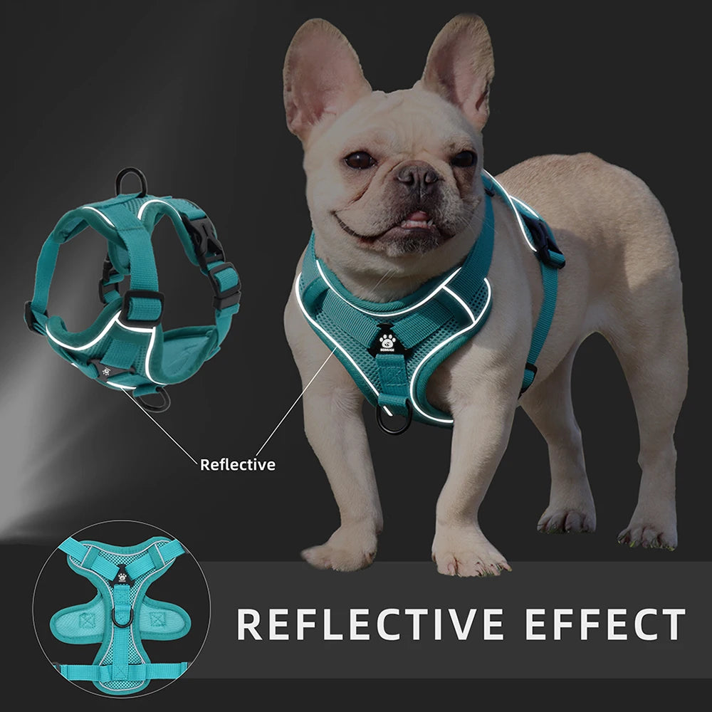 Harness and Leash Set Pet Accessories Dog Harness For Small Dog French Bulldog Pug Pitbull Puppy Pec