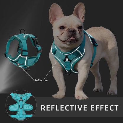 Harness and Leash Set Pet Accessories Dog Harness For Small Dog French Bulldog Pug Pitbull Puppy Pec