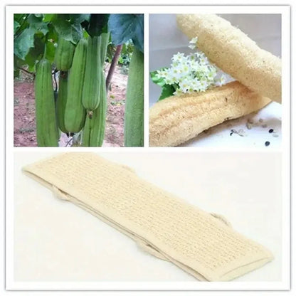 Exfoliating Body Scrubber - Soft Washcloth for Dead Skin Removal & Dry Brushing | Long Bath Sponge with Strap for Shower & Spa