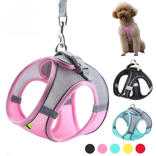 Pet Things Cat Accessories Cute Adjustable Cat Collar and Leash Set for Walking Safe Reflective Soft Comfortable Vest