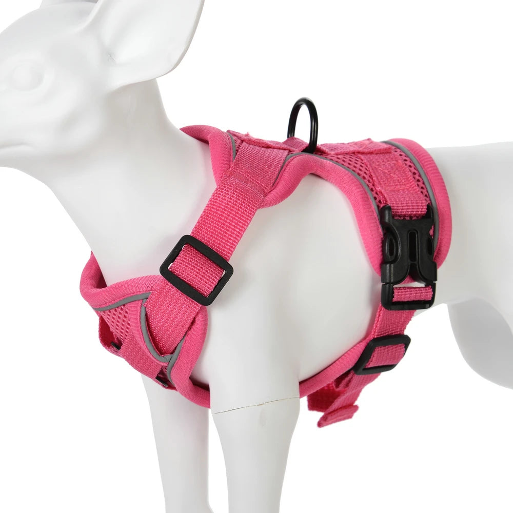 Harness and Leash Set Pet Accessories Dog Harness For Small Dog French Bulldog Pug Pitbull Puppy Pec