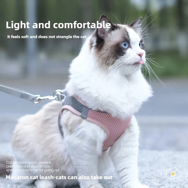 Pet Things Cat Accessories Cute Adjustable Cat Collar and Leash Set for Walking Safe Reflective Soft Comfortable Vest