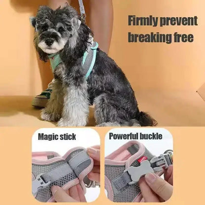 Pet Things Cat Accessories Cute Adjustable Cat Collar and Leash Set for Walking Safe Reflective Soft Comfortable Vest